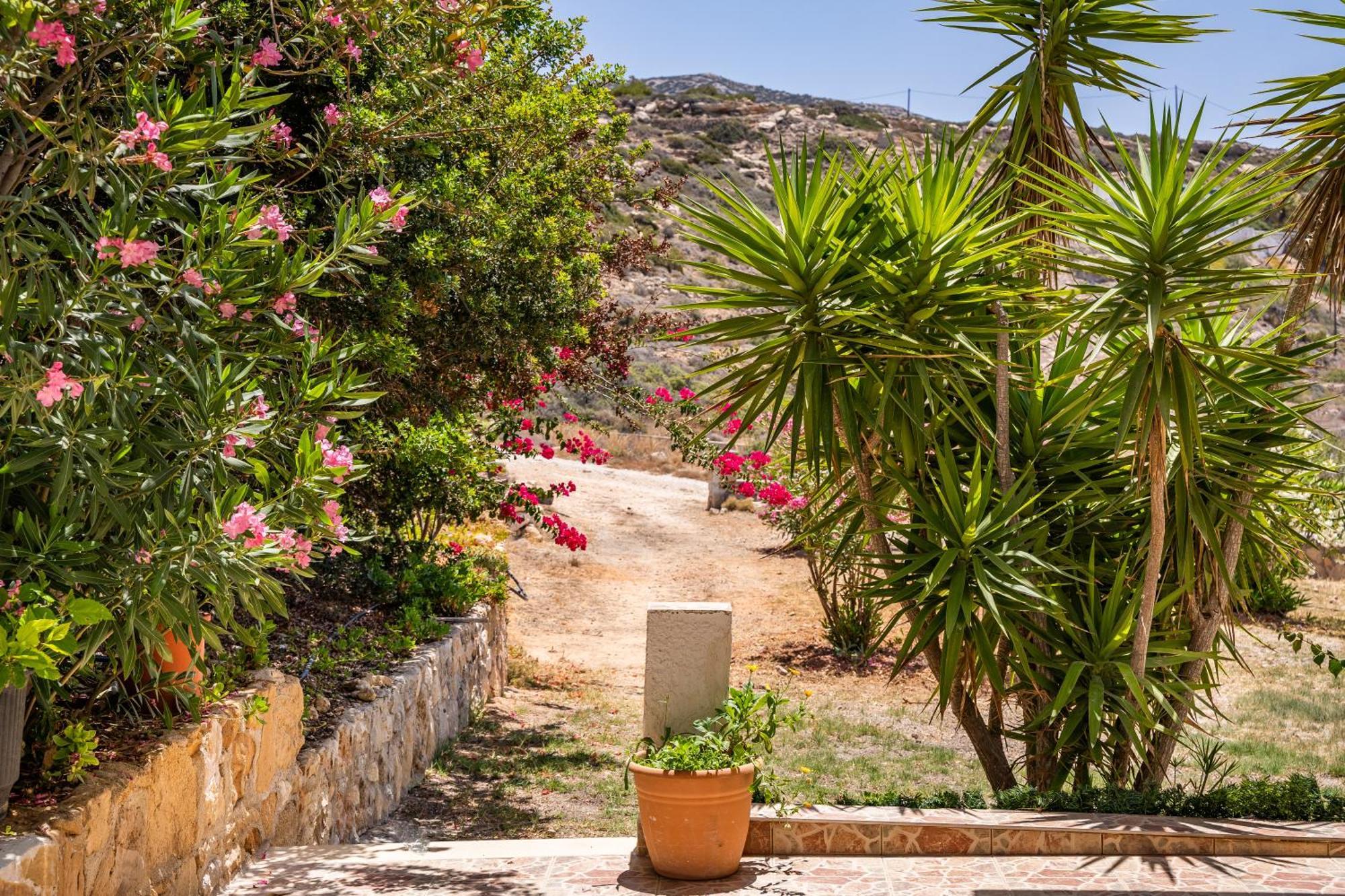 Sun Week Bay Hotel Lefkos  Luaran gambar